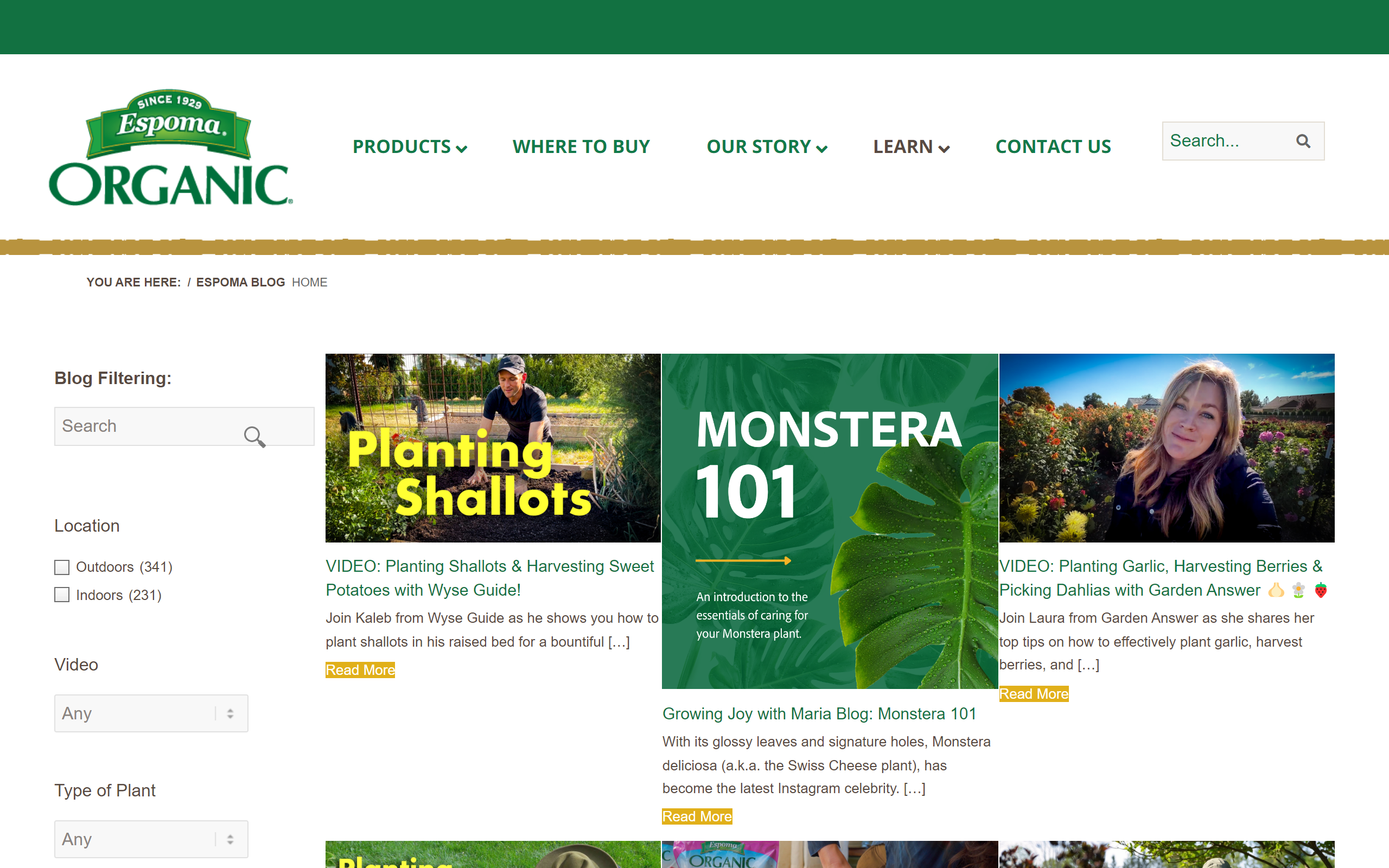 80 Most Popular Gardening Blogs to Be an Expert Gardener