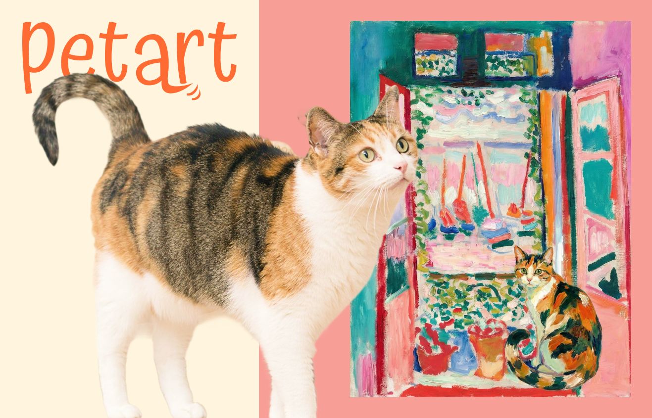Custom pet portrait gift for cat mom, framed impressionist oil painting of cat, unique personalized cat lover gift idea