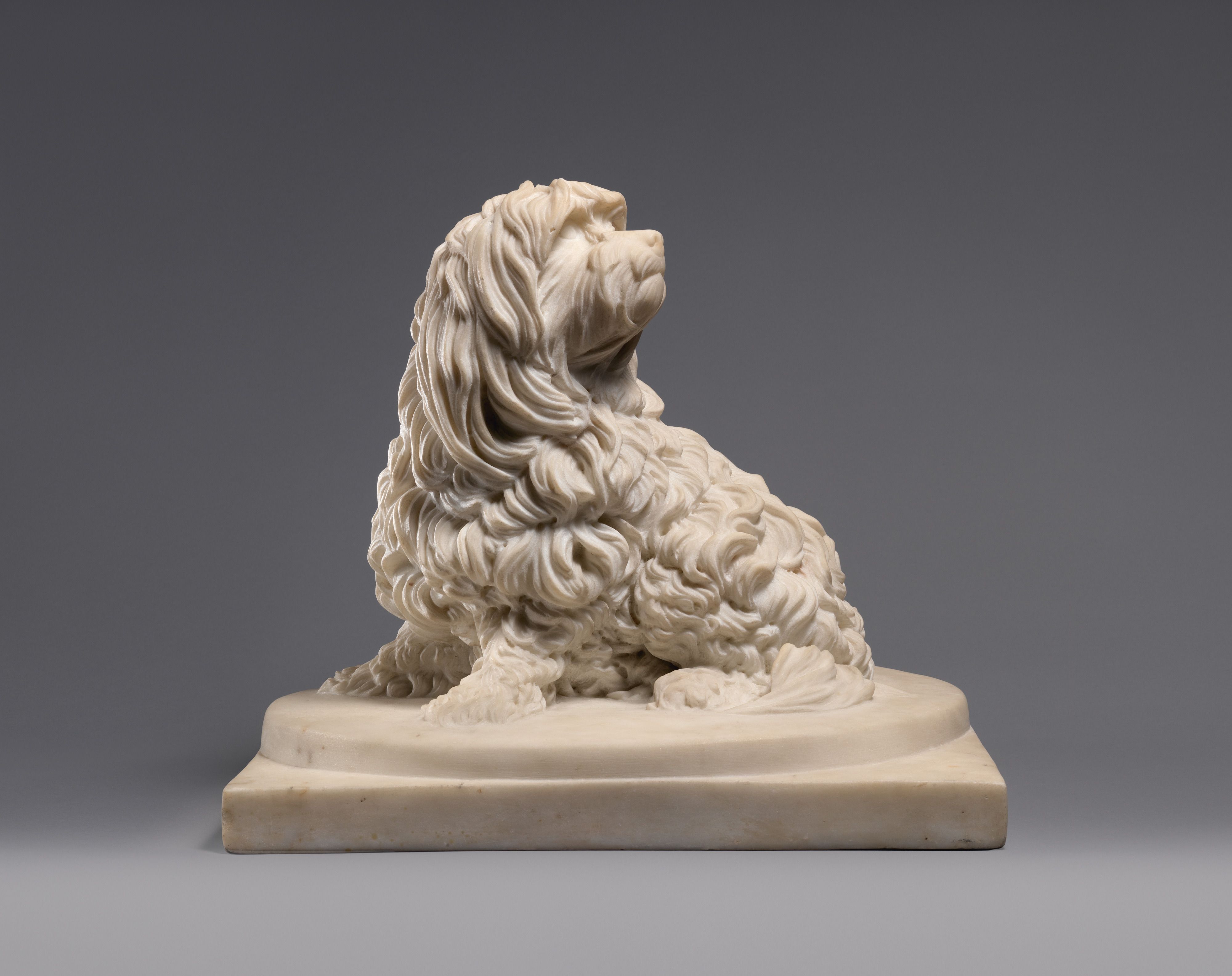 Anne Seymour Damer’s marble sculpture Shock Dog, depicting a small Maltese seated and looking upward.