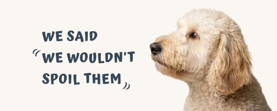 A golden doodle lounging on an armchair with the headline "We said we wouldn't spoil them." — illustrated banner for Pet Art's article on U.S. pet spending trends