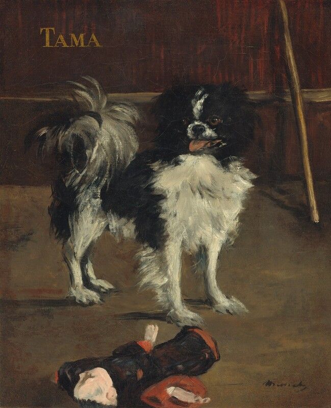Édouard Manet’s Tama, the Japanese Dog, showing a small black-and-white dog standing alone indoors.