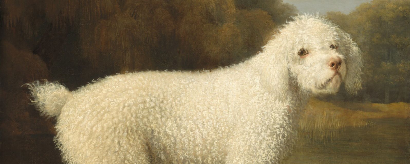 From the Edge of the Painting to the Center: How Pets Became Part of Art