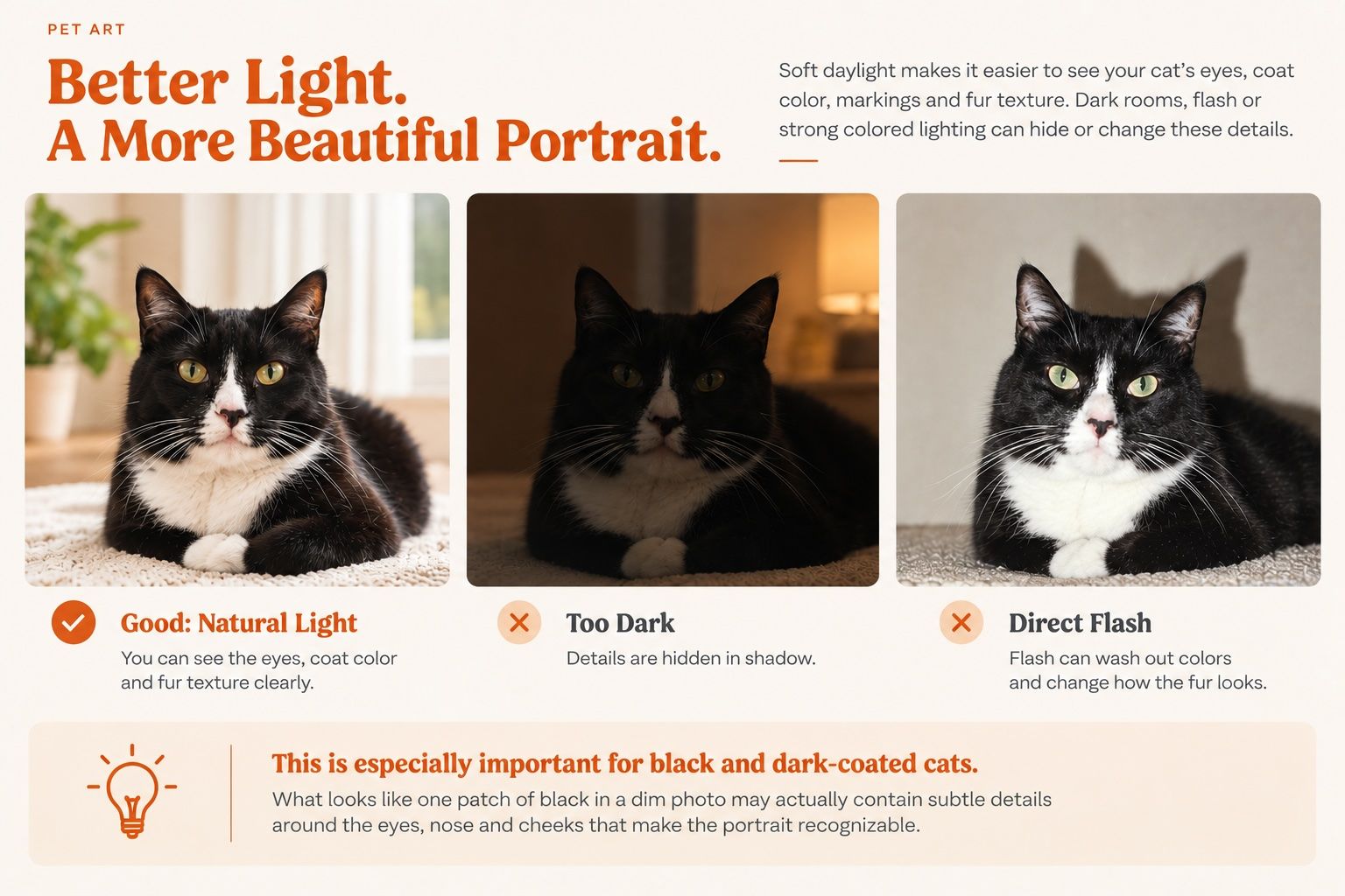 Cat photo lighting comparison showing why natural daylight works best for a custom cat portrait.