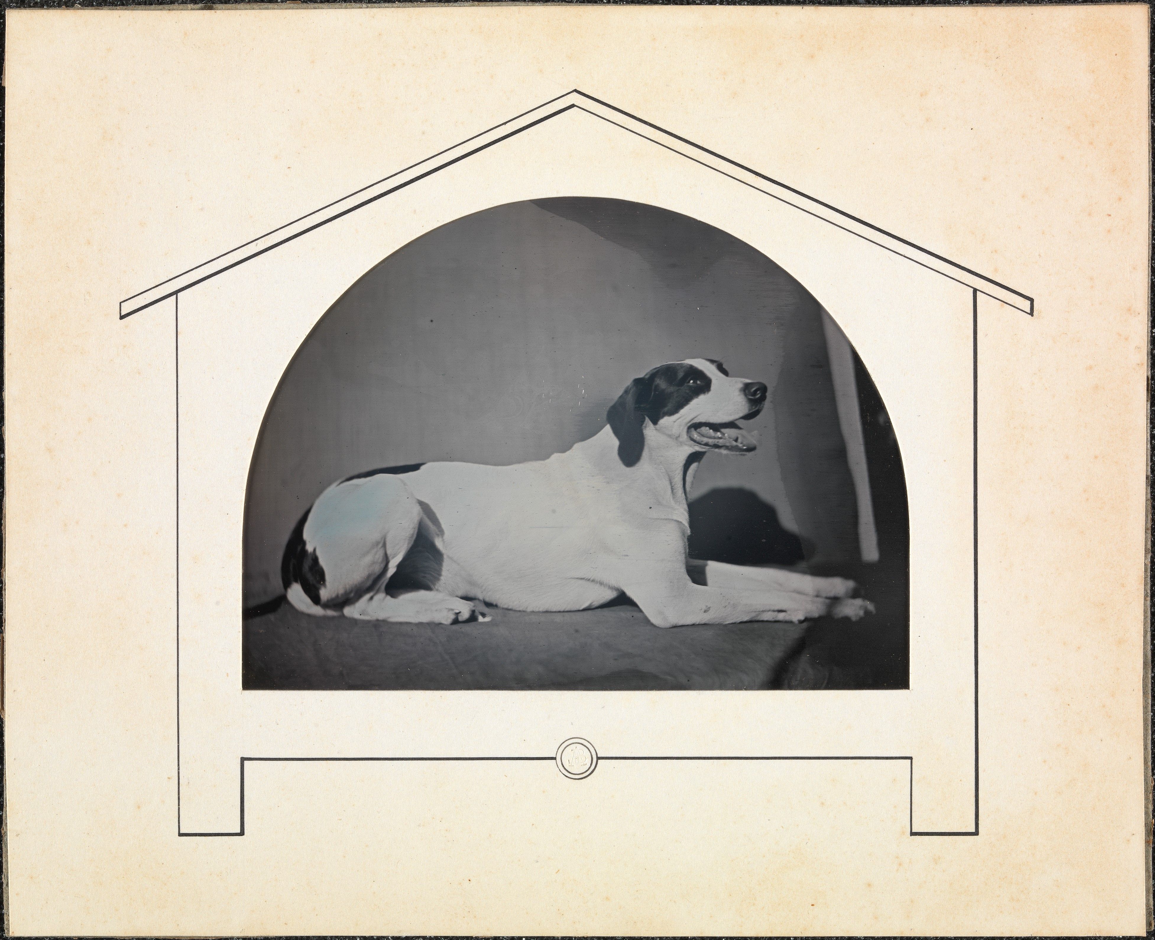 Louis-Auguste Bisson’s 19th-century daguerreotype of a black-and-white dog resting inside a doghouse-shaped frame.
