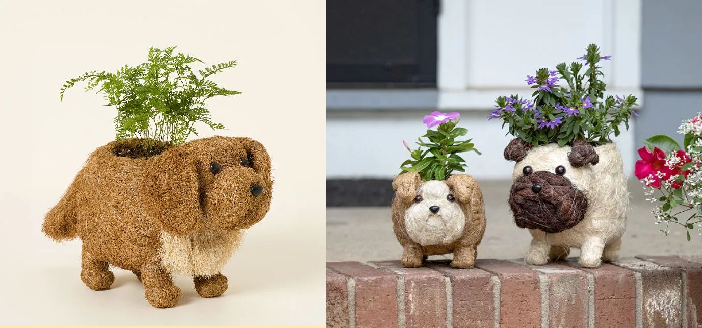 coconut fiber dog planter self-watering pot for plant lovers