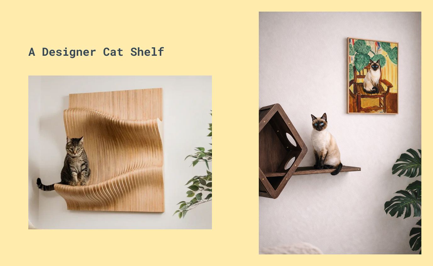 cat interacting with wall-mounted wooden cat shelf in modern apartment