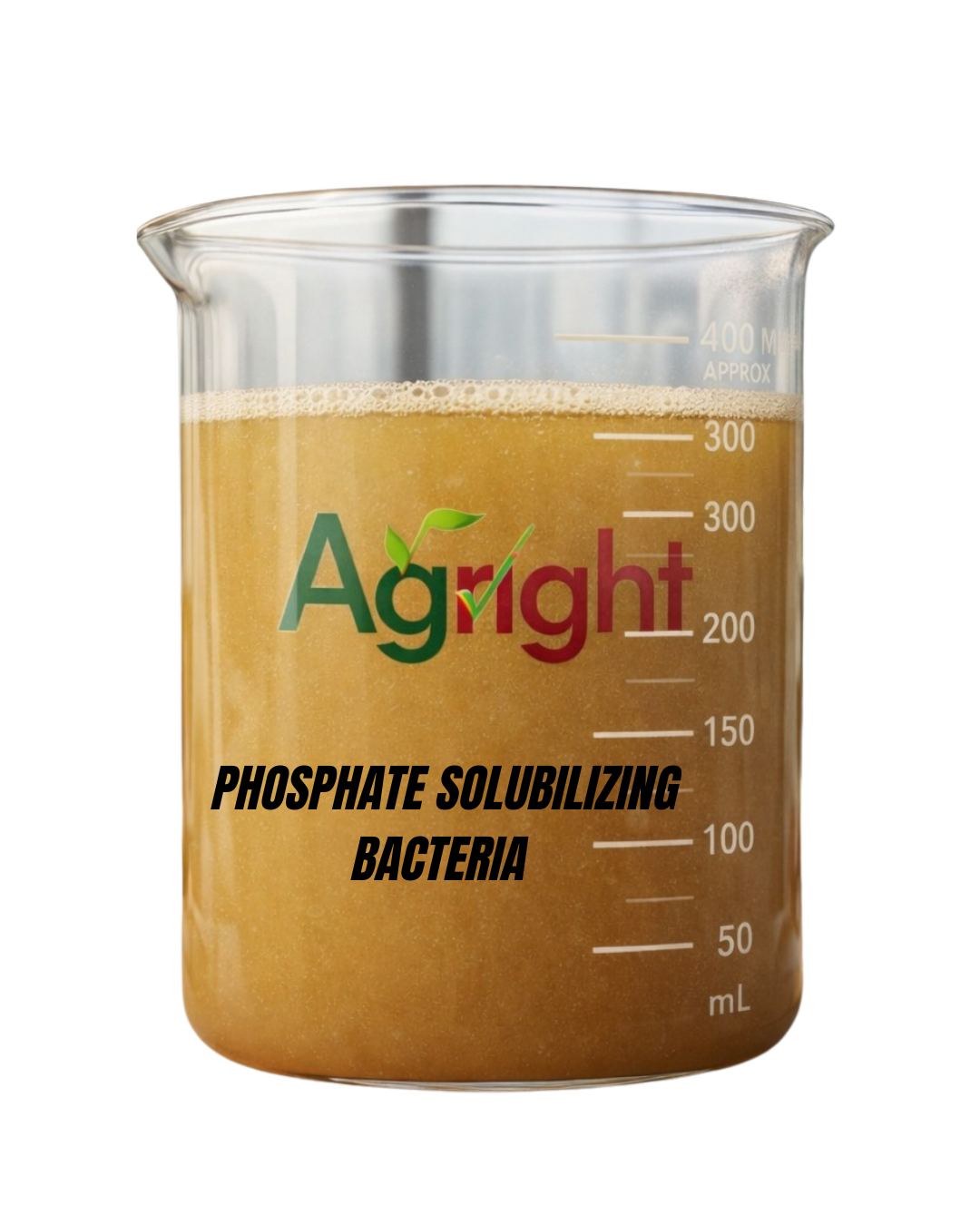 Agright Phosphate Solubilizing Bacteria ( Phoshphate Solubilizer ) thumbnail 4