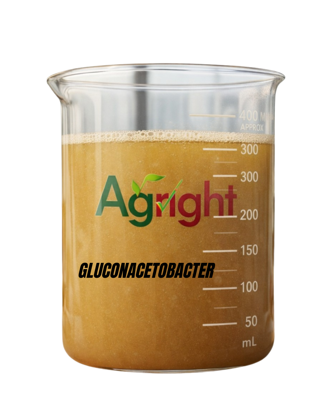 Agright Gluconacetobacter thumbnail 4