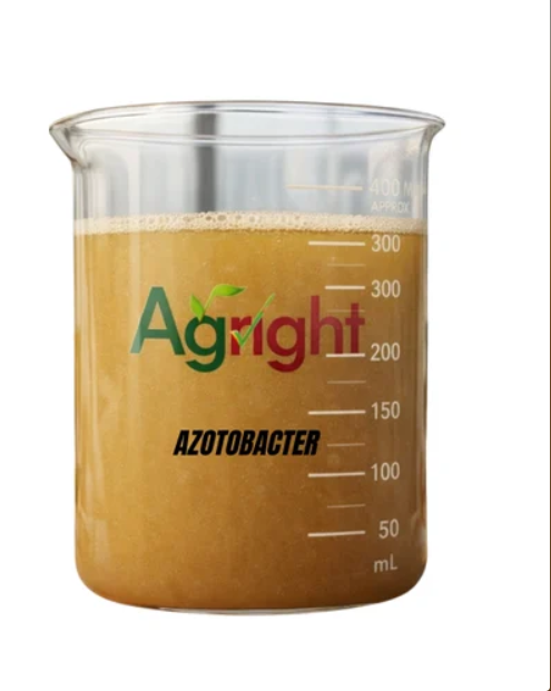Agright Acetobacter thumbnail 4