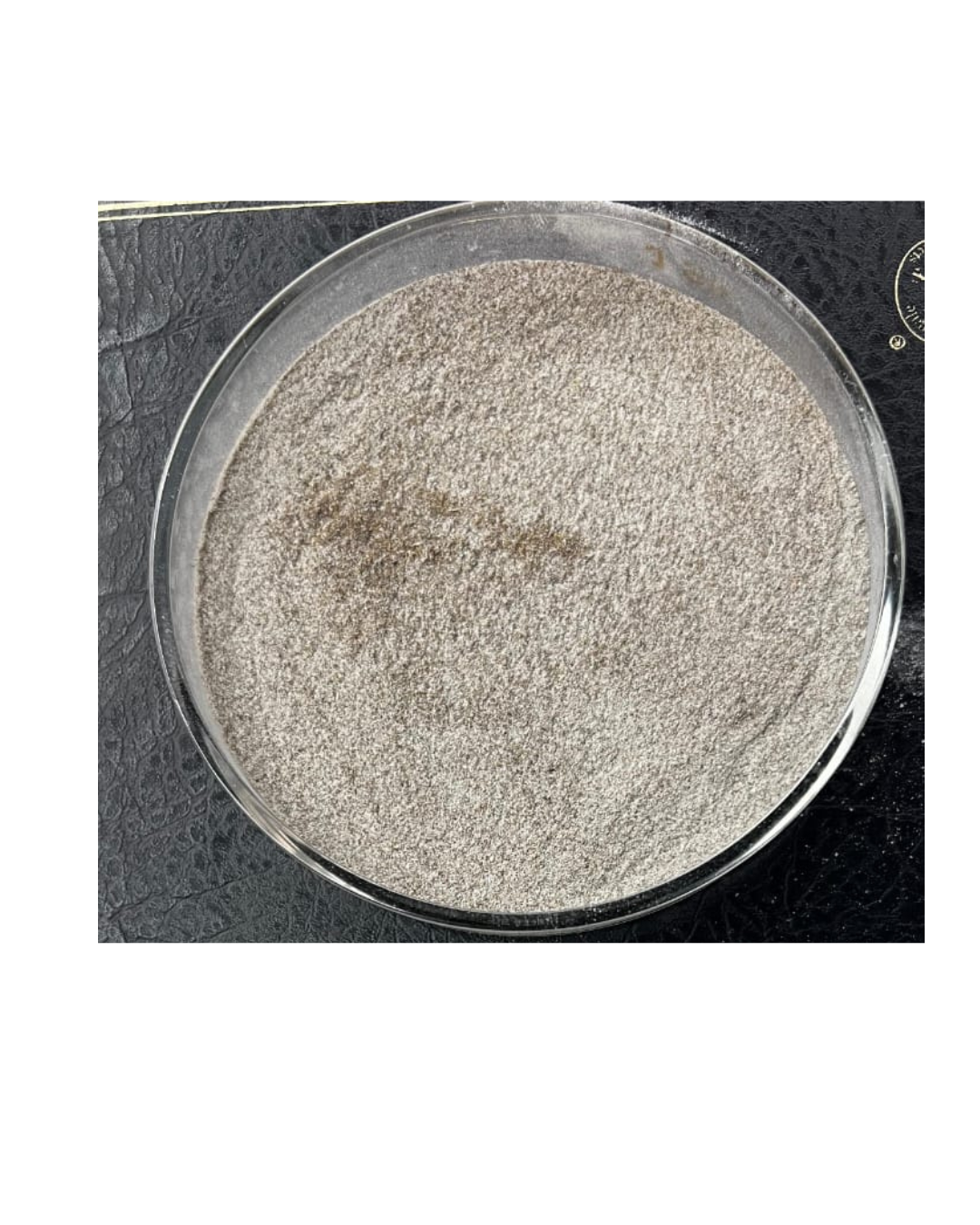 Vesicular Arbuscular Mycorrhiza -VAM thumbnail 2