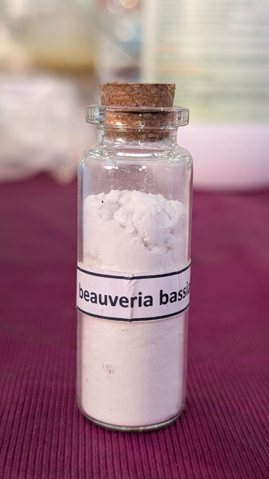 Technical Beauveria Bassiana thumbnail 3