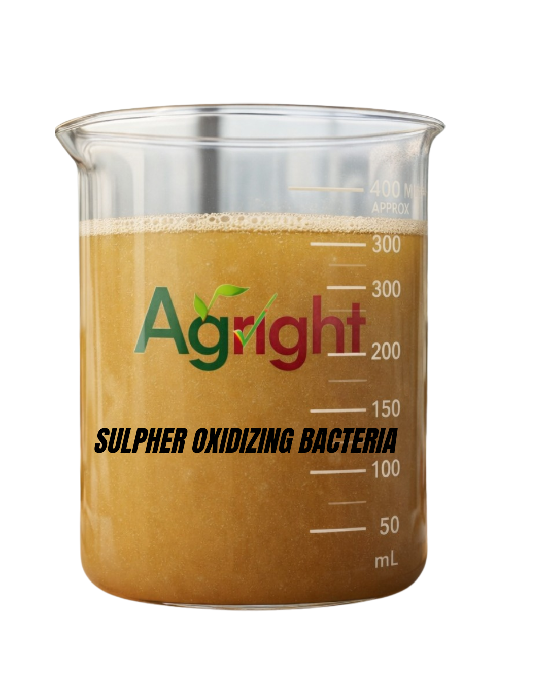 Agright Sulphur Oxidizing Bacteria (SOB) thumbnail 4