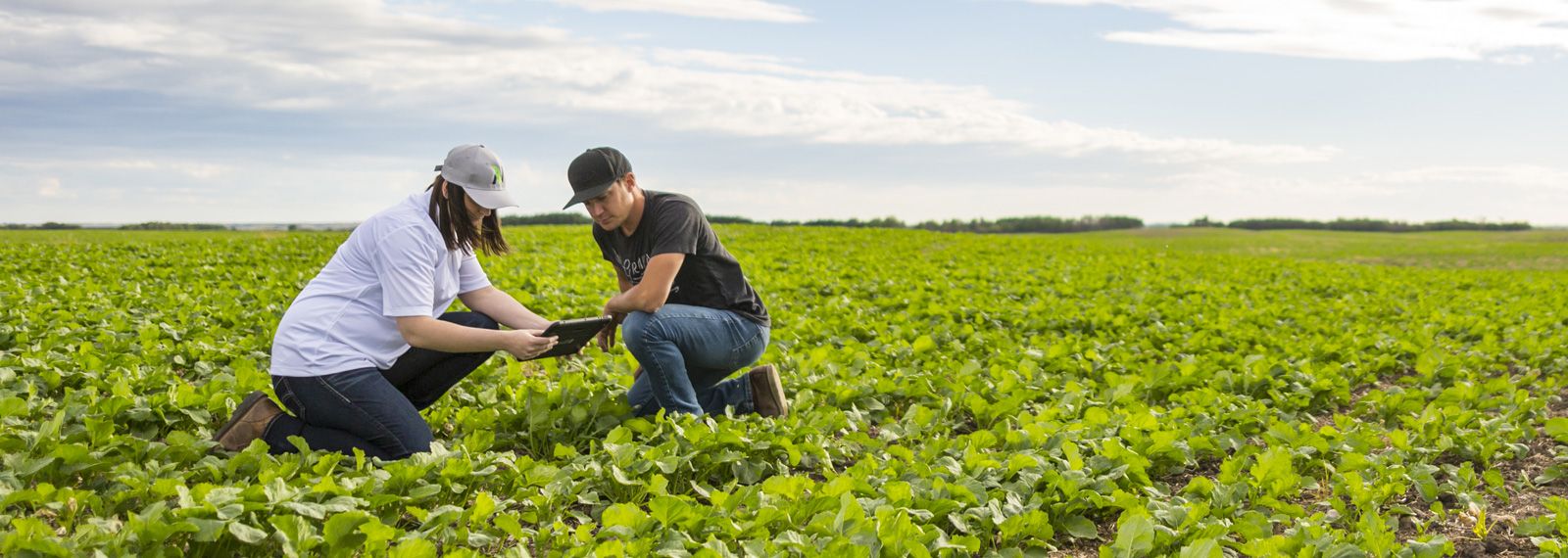 Two farms analyzing soil in a field