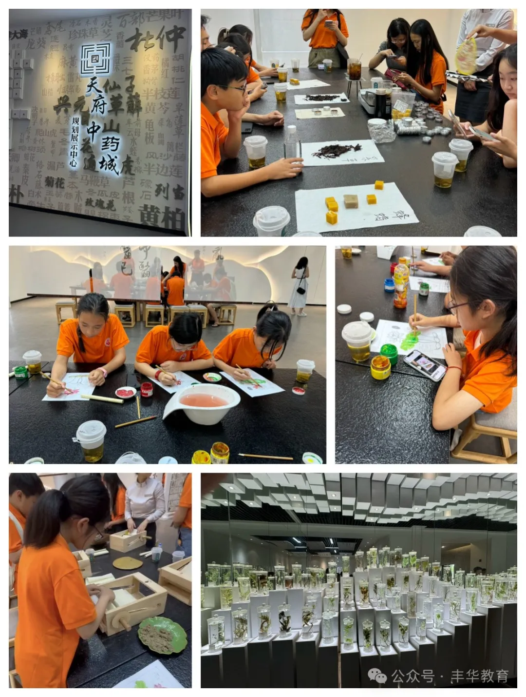 天府中药城 天府中药城