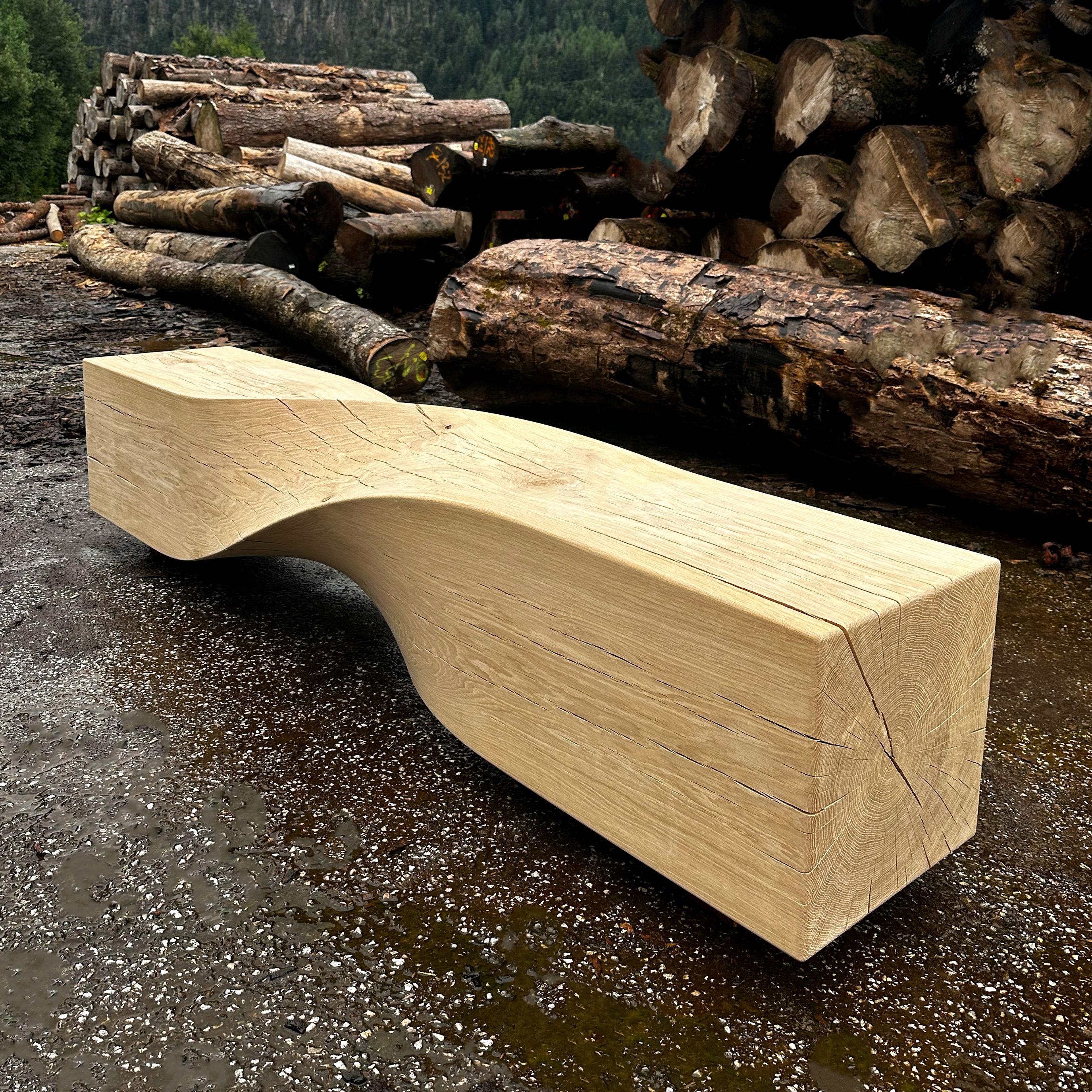 Soul Sculpture Bench by Veronica Mar