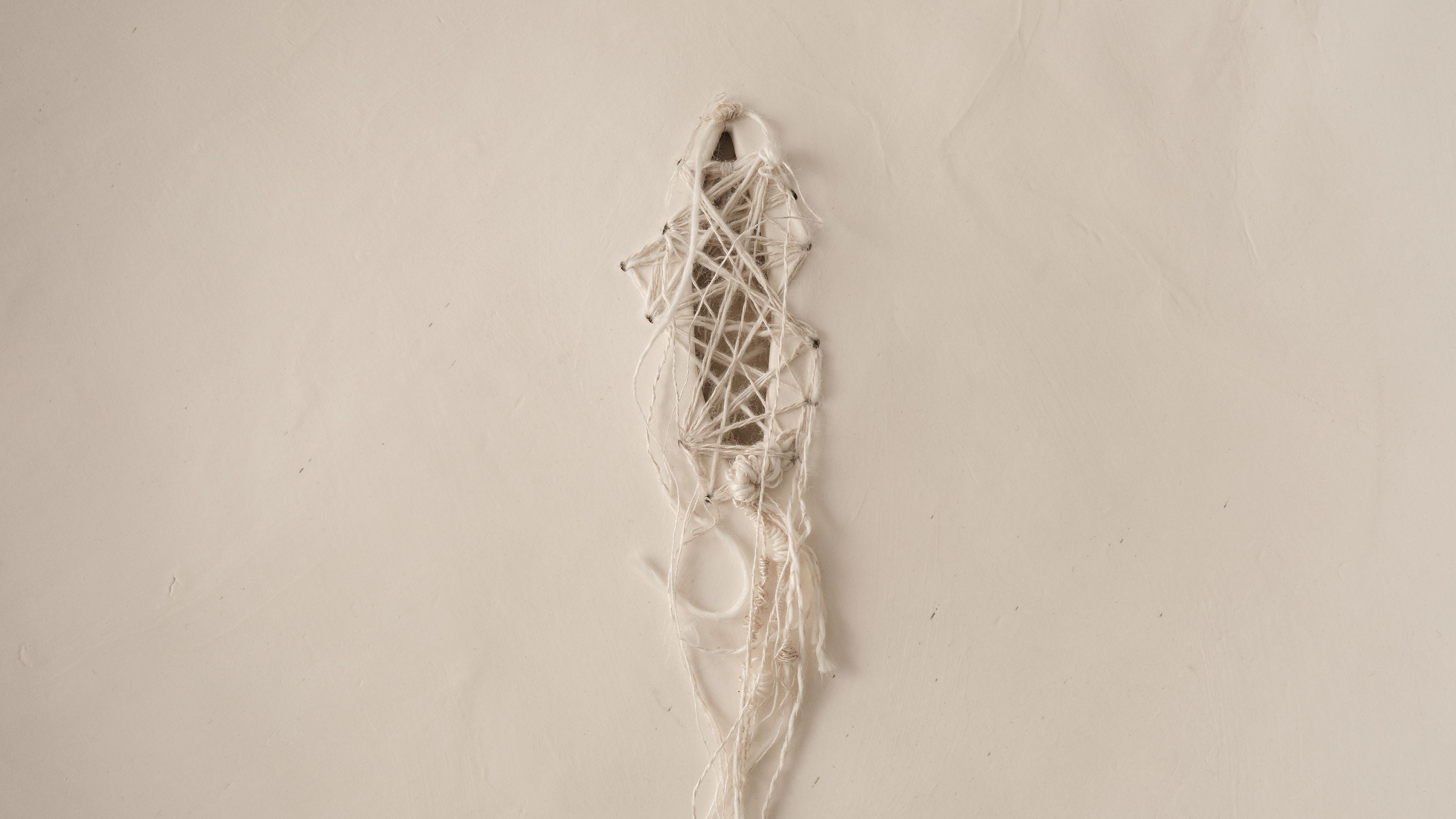 Iris Nesher Ateliers Courbet Porcelain Ceramic Wall Plate