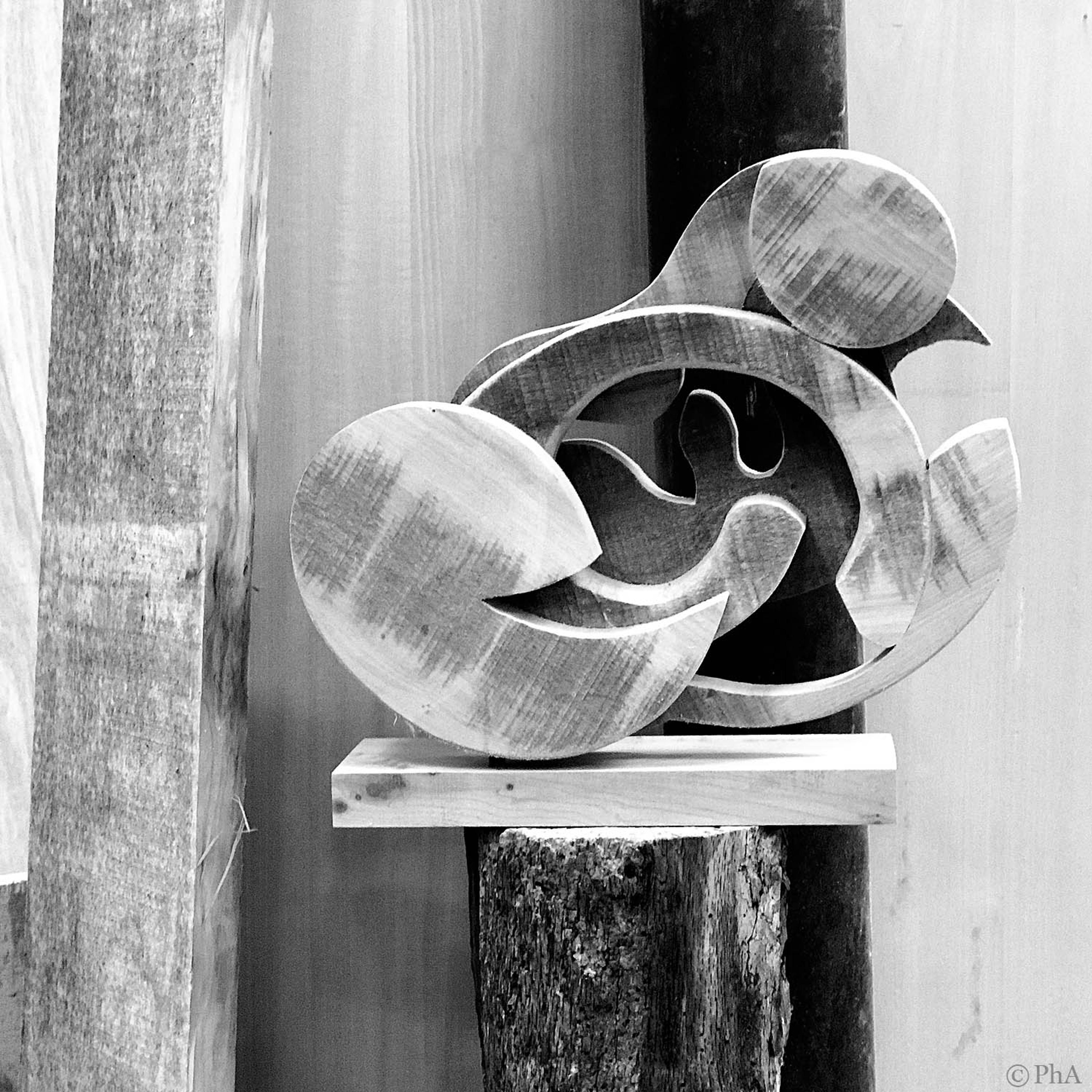 Philippe Anthonioz | Ateliers Courbet: F212 Wood Sculpture