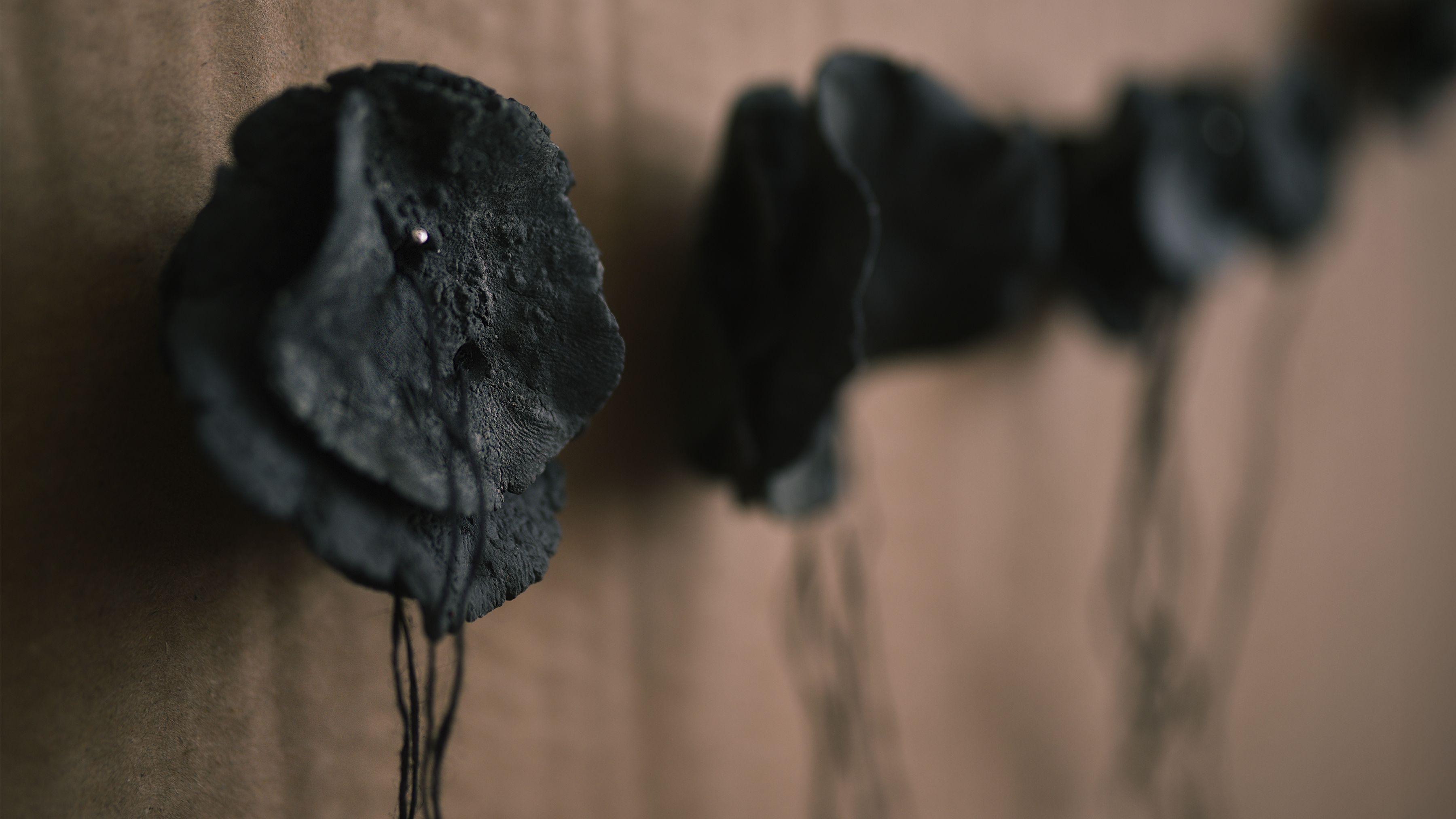 Iris Nesher Ateliers Courbet Porcelain Ceramic Wall Plate