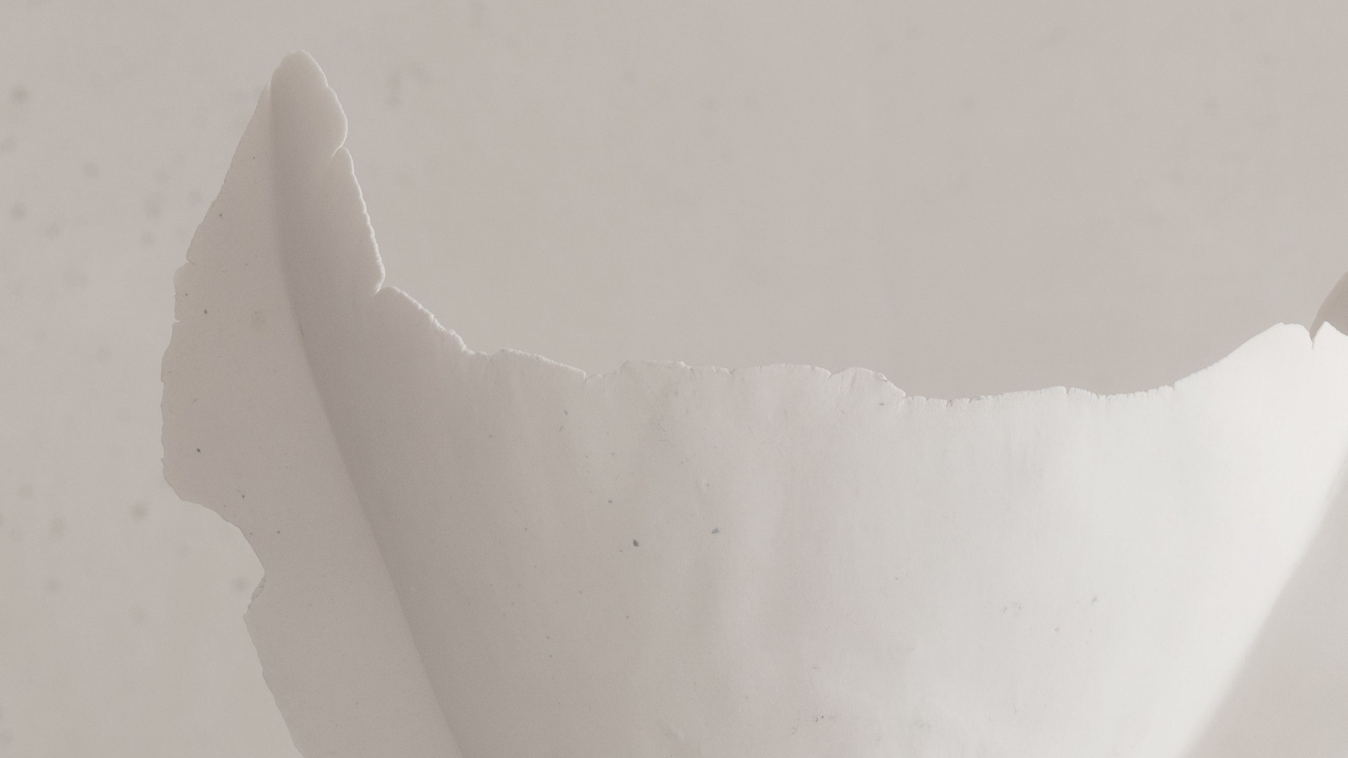 Ateliers Courbet presents Iris Nesher Porcelain Ceramic Vessel