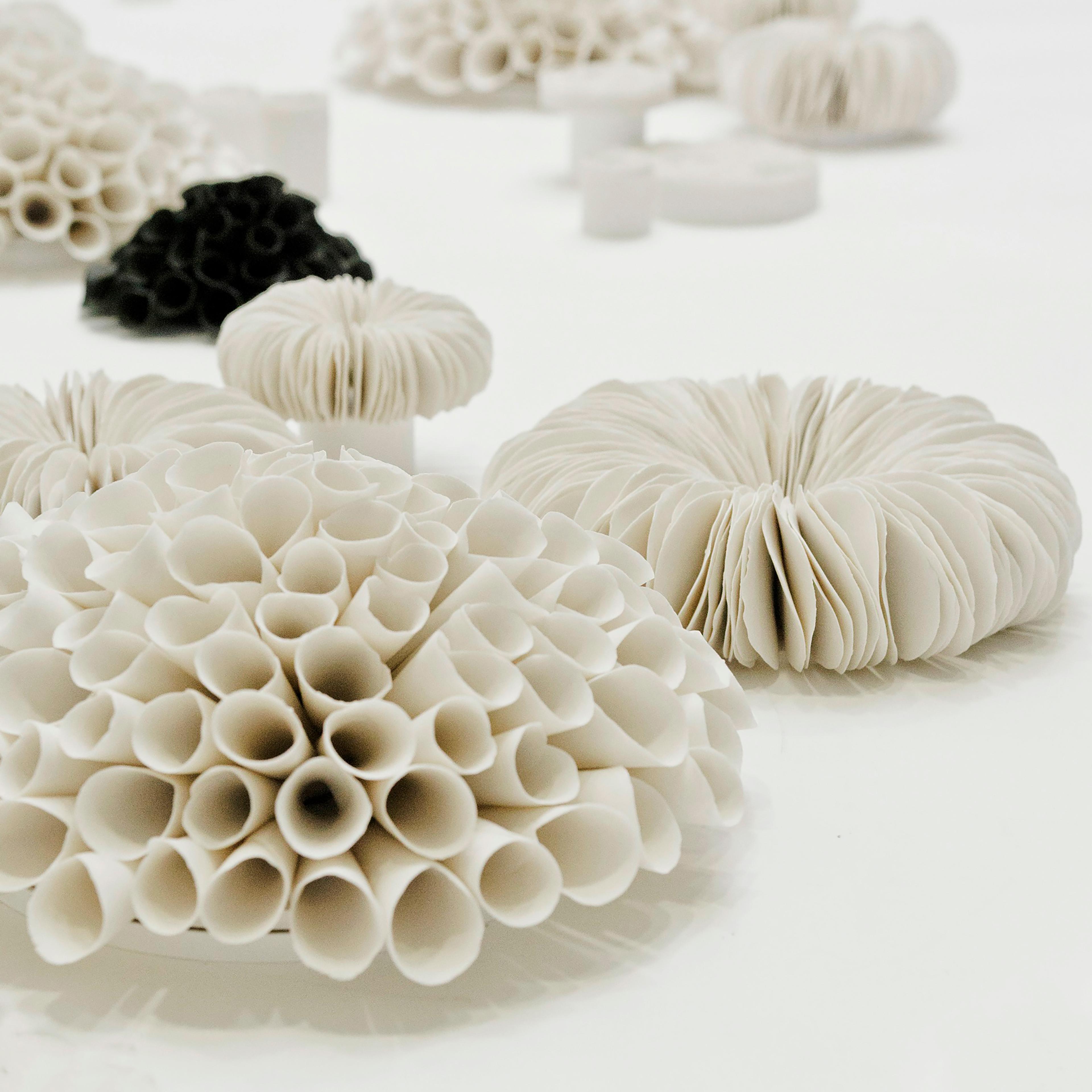 Valeria Nascimento Ateliers Courbet Botanica Porcelain Wall Art Installation