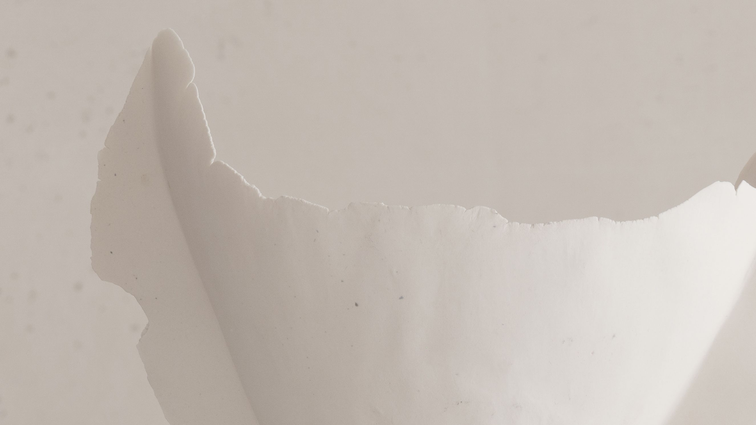 Iris Nesher Ateliers Courbet Porcelain Ceramic Artist Vessel