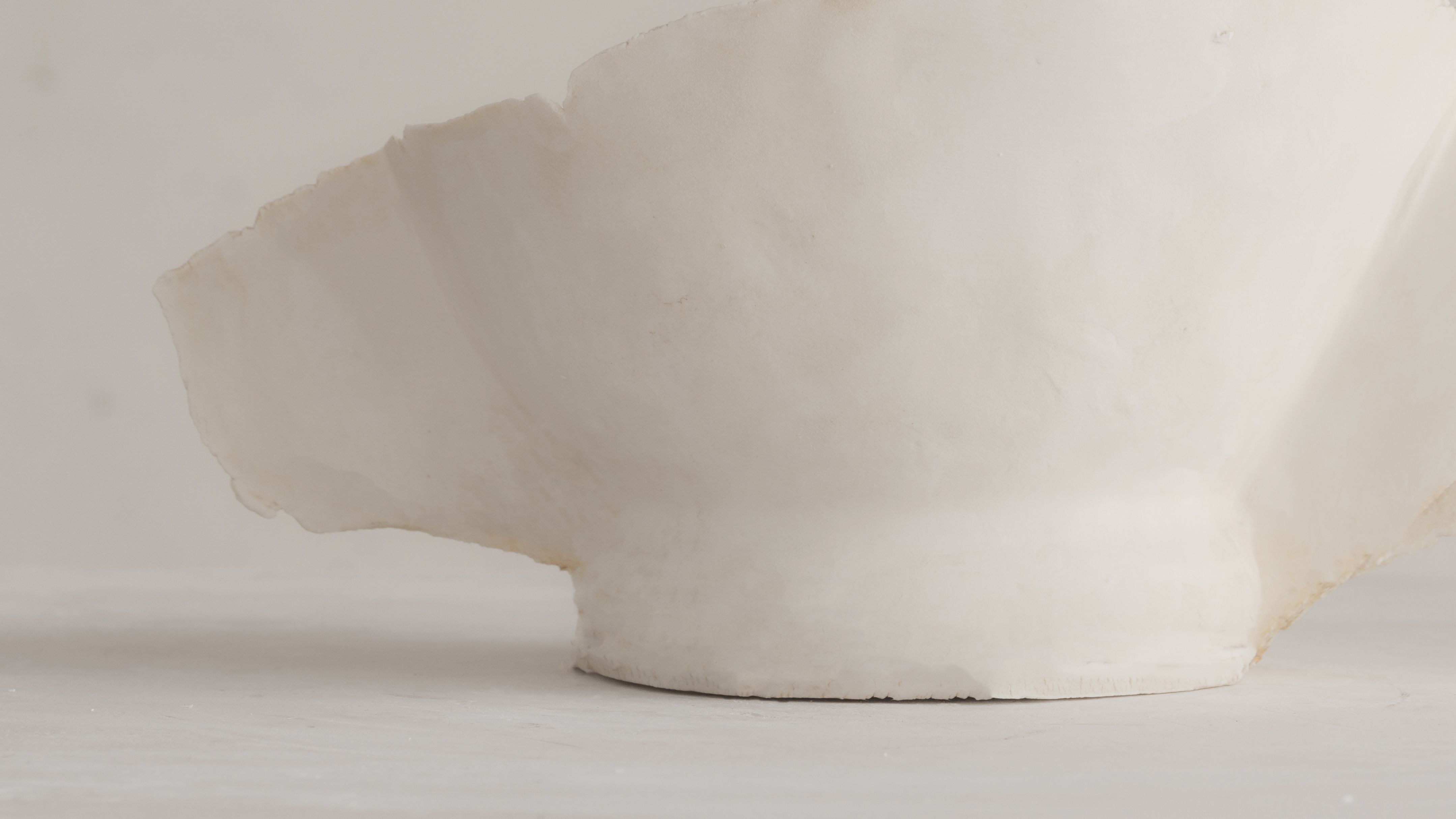 Iris Nesher Ateliers Courbet Porcelain Ceramic Artist