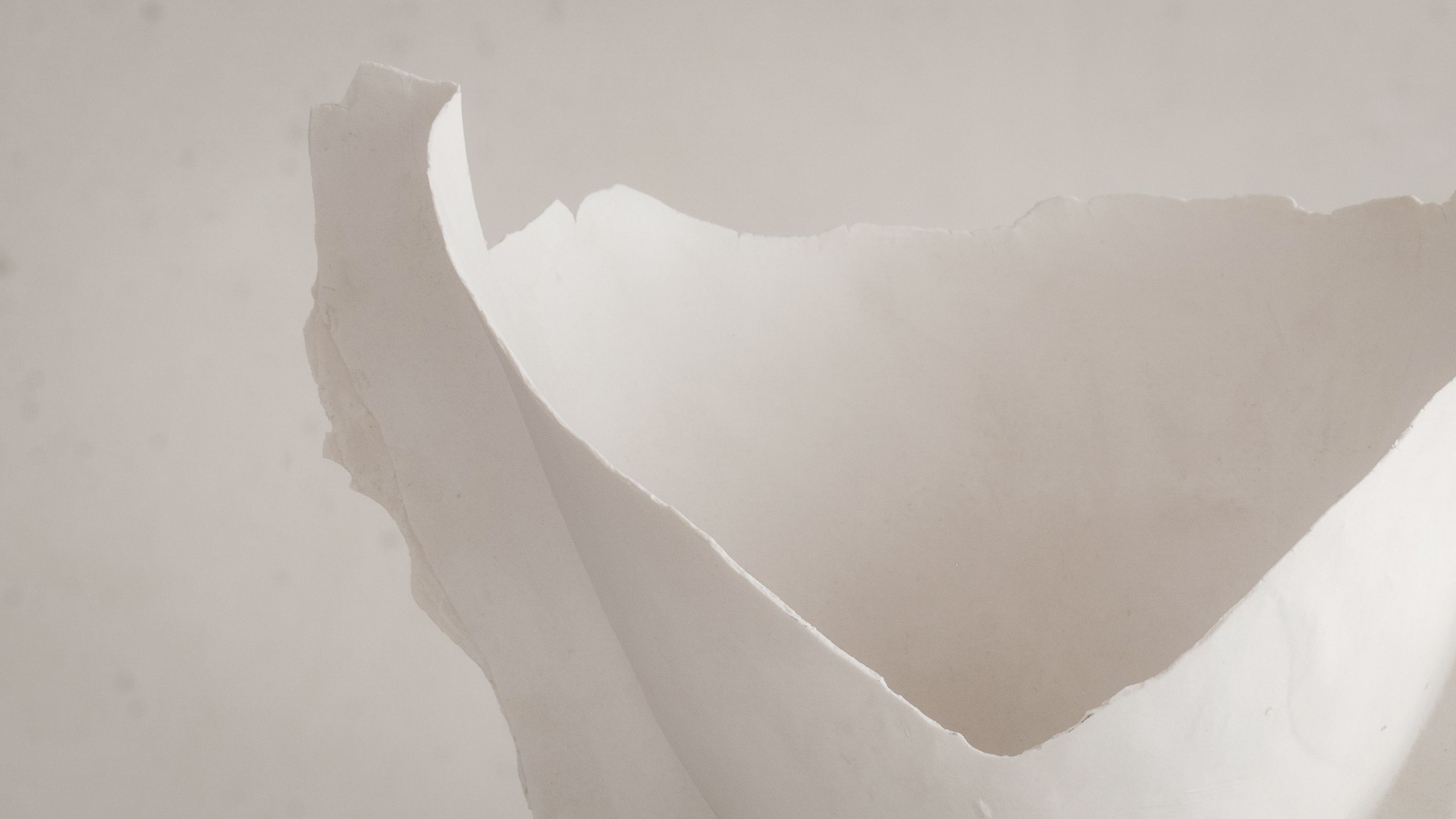 Iris Nesher Ateliers Courbet Porcelain Ceramic Artist