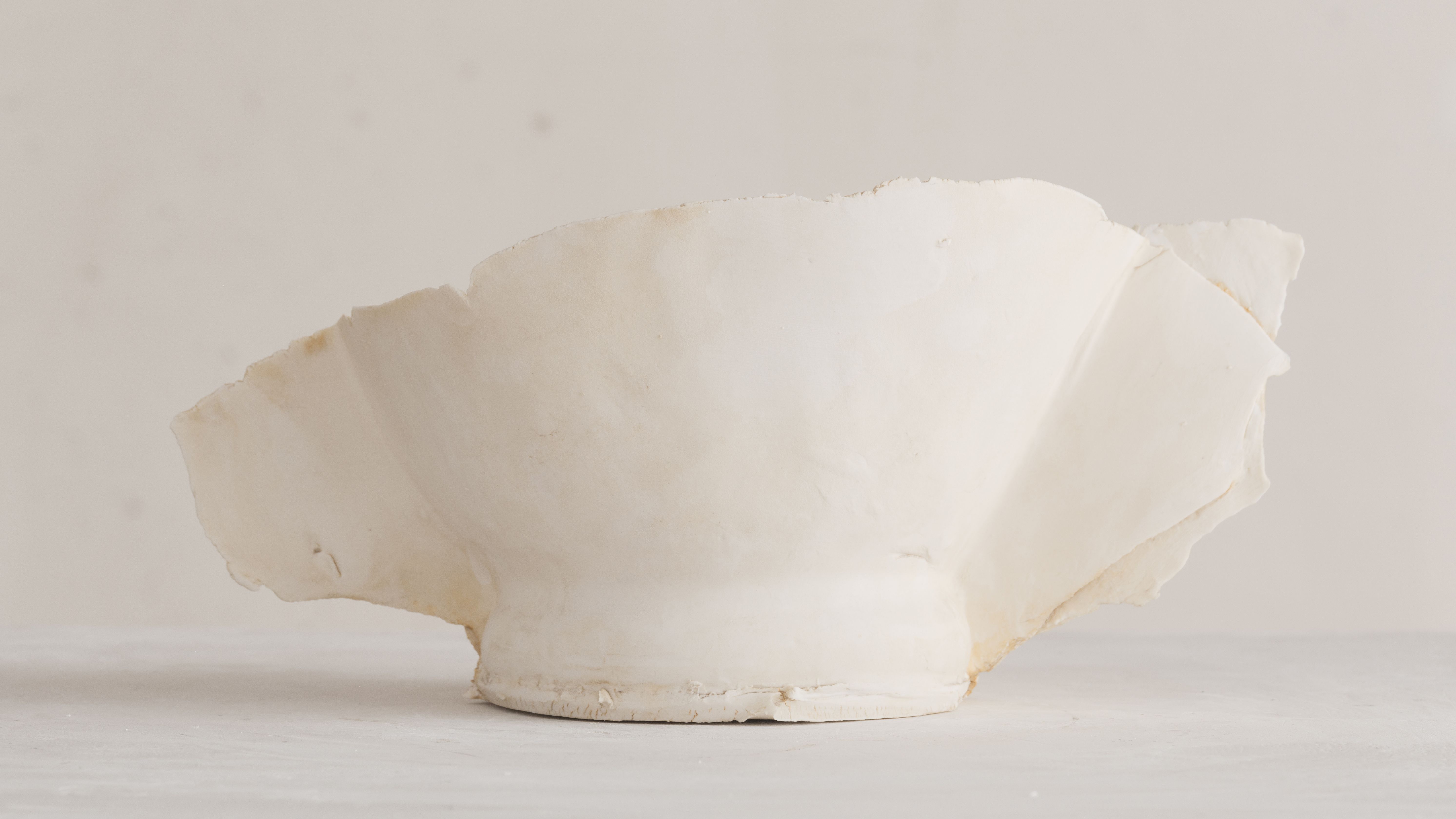 Iris Nesher Ateliers Courbet Porcelain Ceramic Artist Vessel