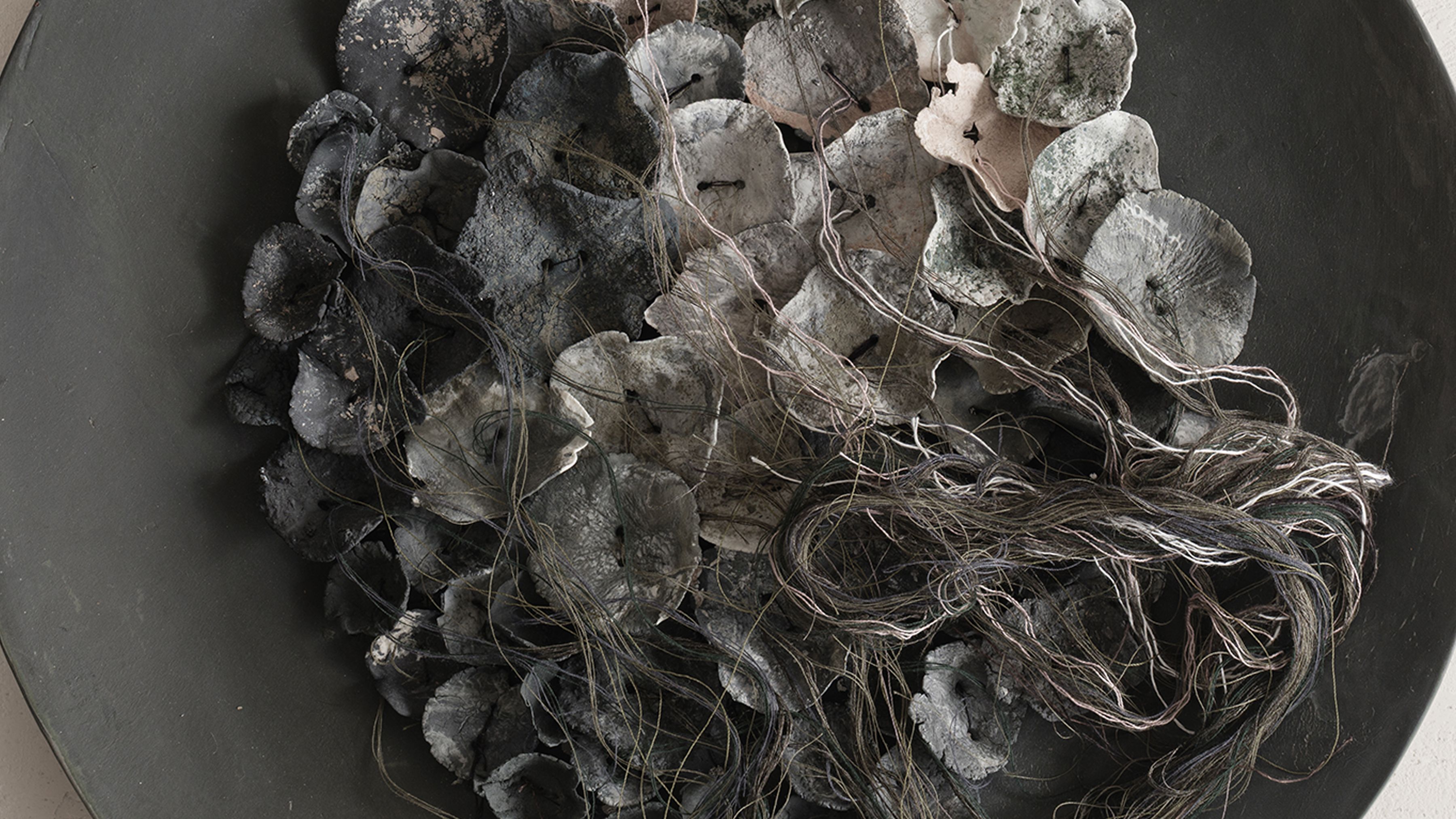 Iris Nesher Ateliers Courbet Porcelain Ceramic Wall Plate