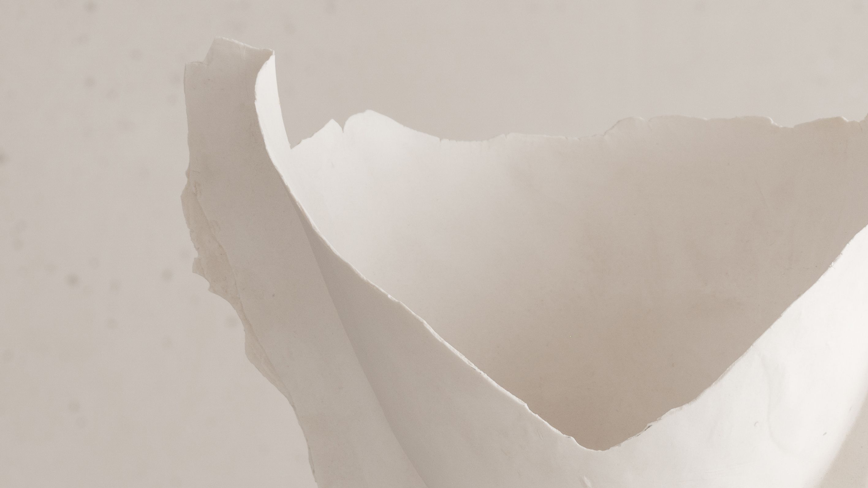 Iris Nesher Ateliers Courbet Porcelain Ceramic Artist Vessel