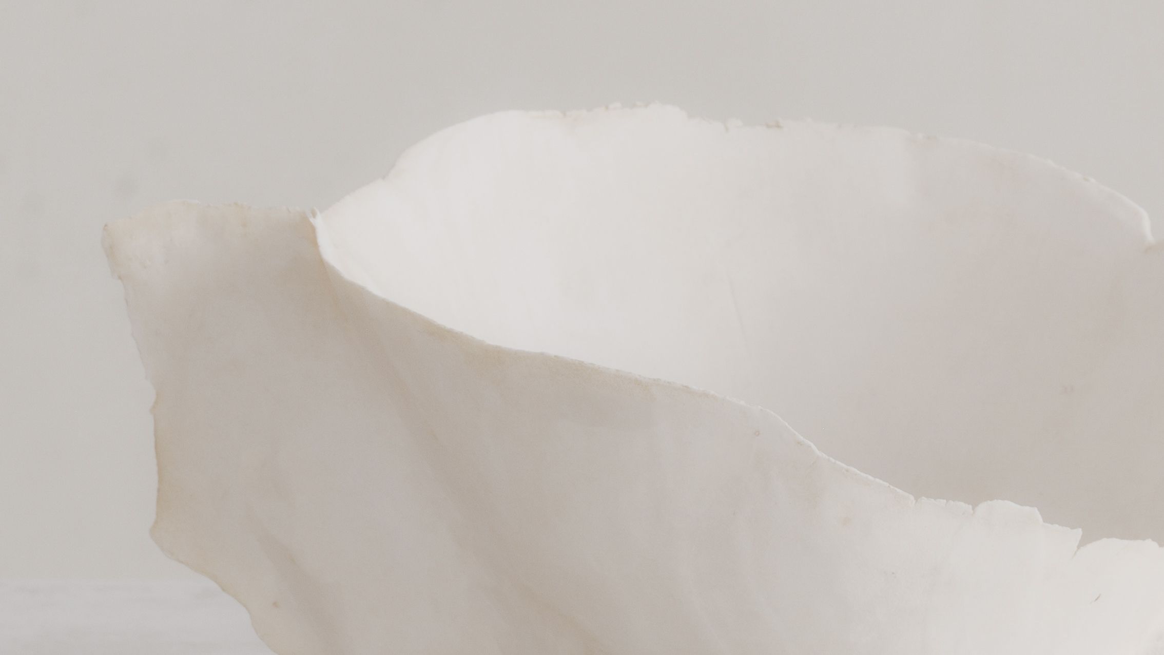 Ateliers Courbet presents Iris Nesher Porcelain Vessel