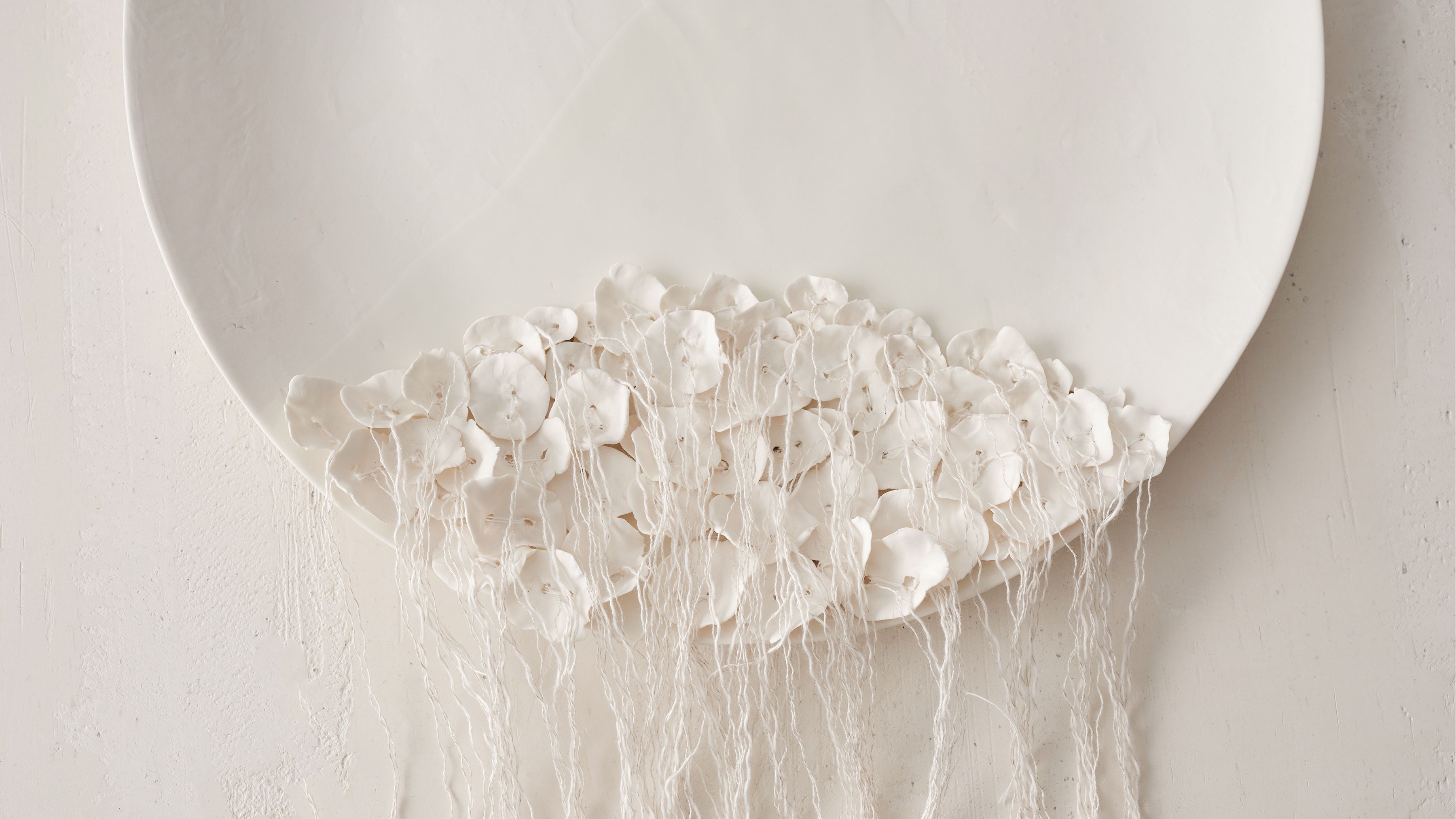 Ateliers Courbet presents Iris Nesher Artist Ceramicist's Porcelain Wall Plates