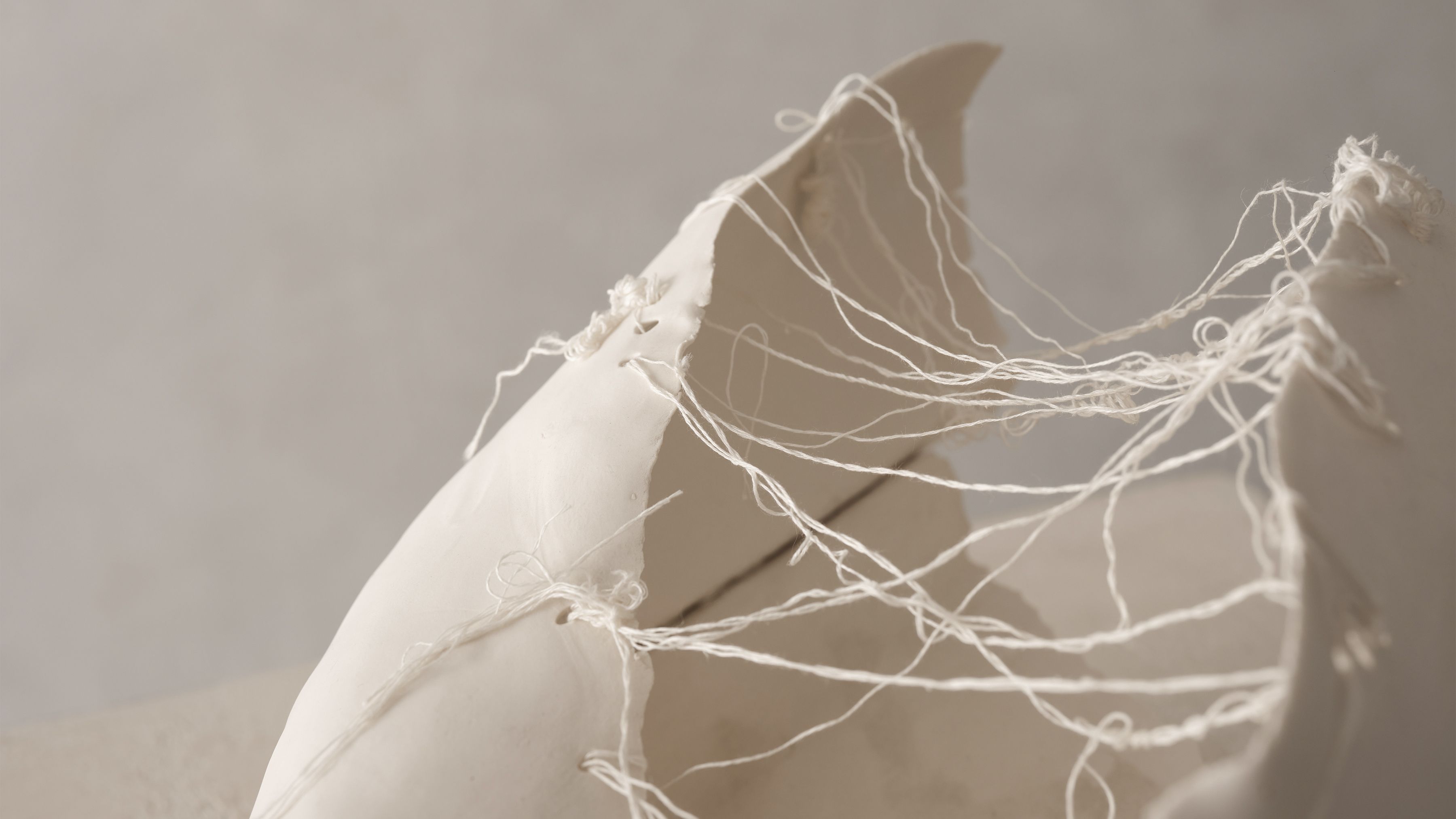 Iris Nesher Ateliers Courbet Porcelain Ceramic Vessel