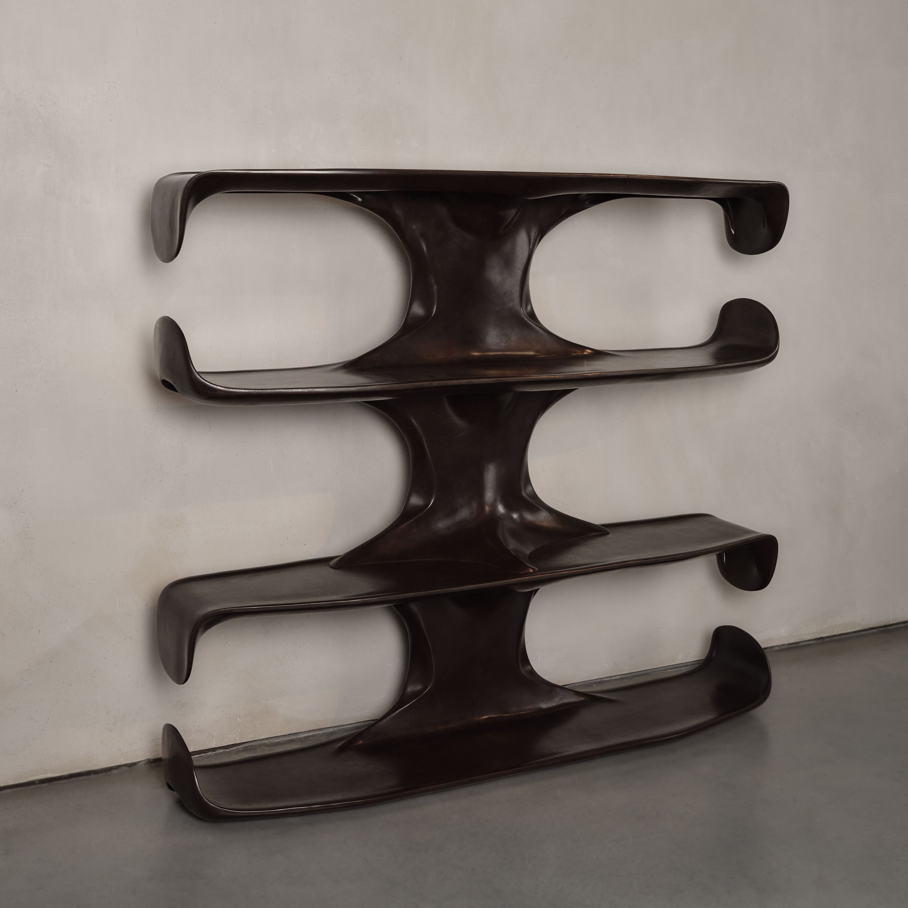 Pierre Yves Guenec Ateliers Courbet Anatomies Library Bookcase