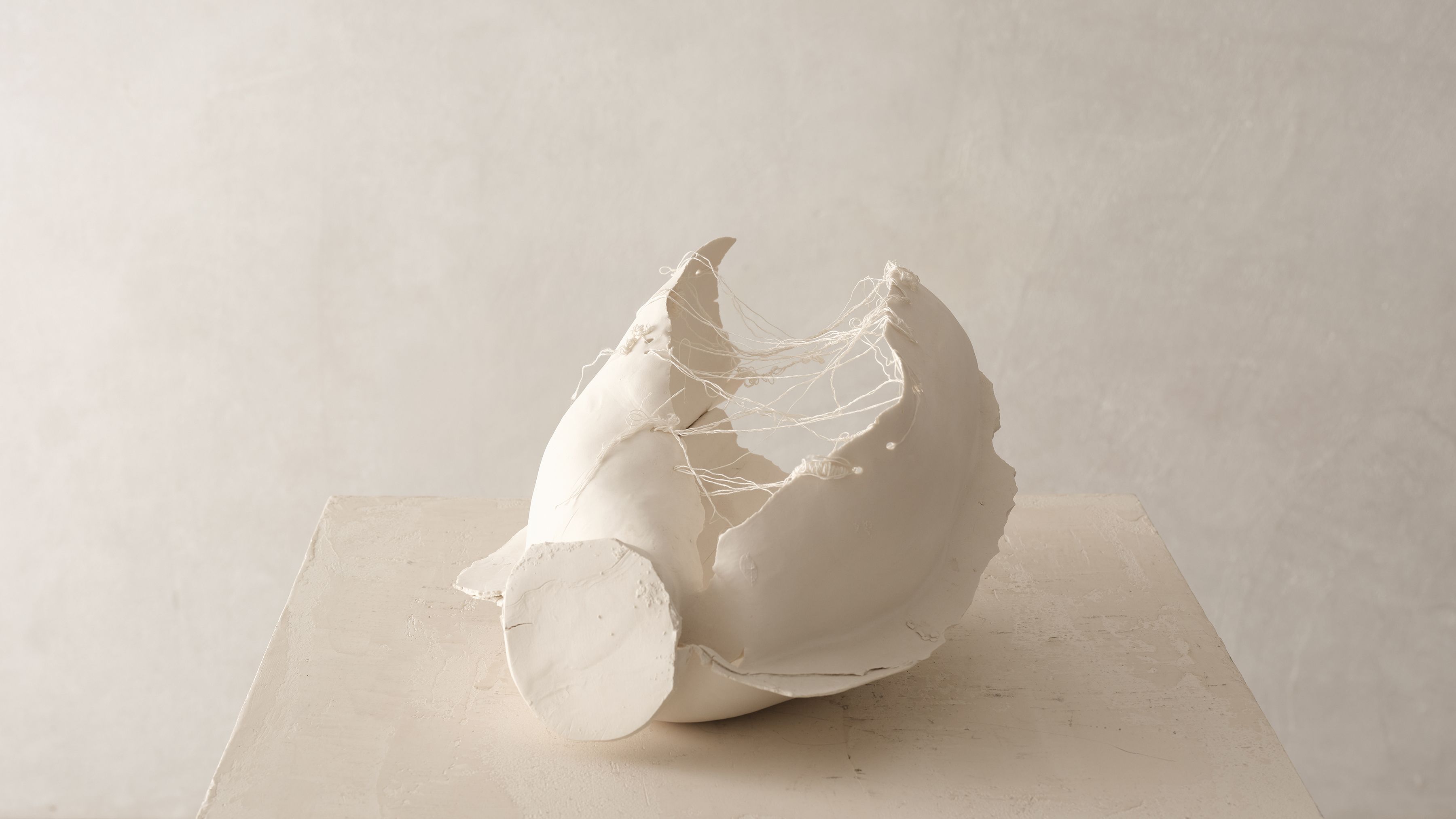 Iris Nesher Ateliers Courbet Porcelain Ceramic Artist Vessel