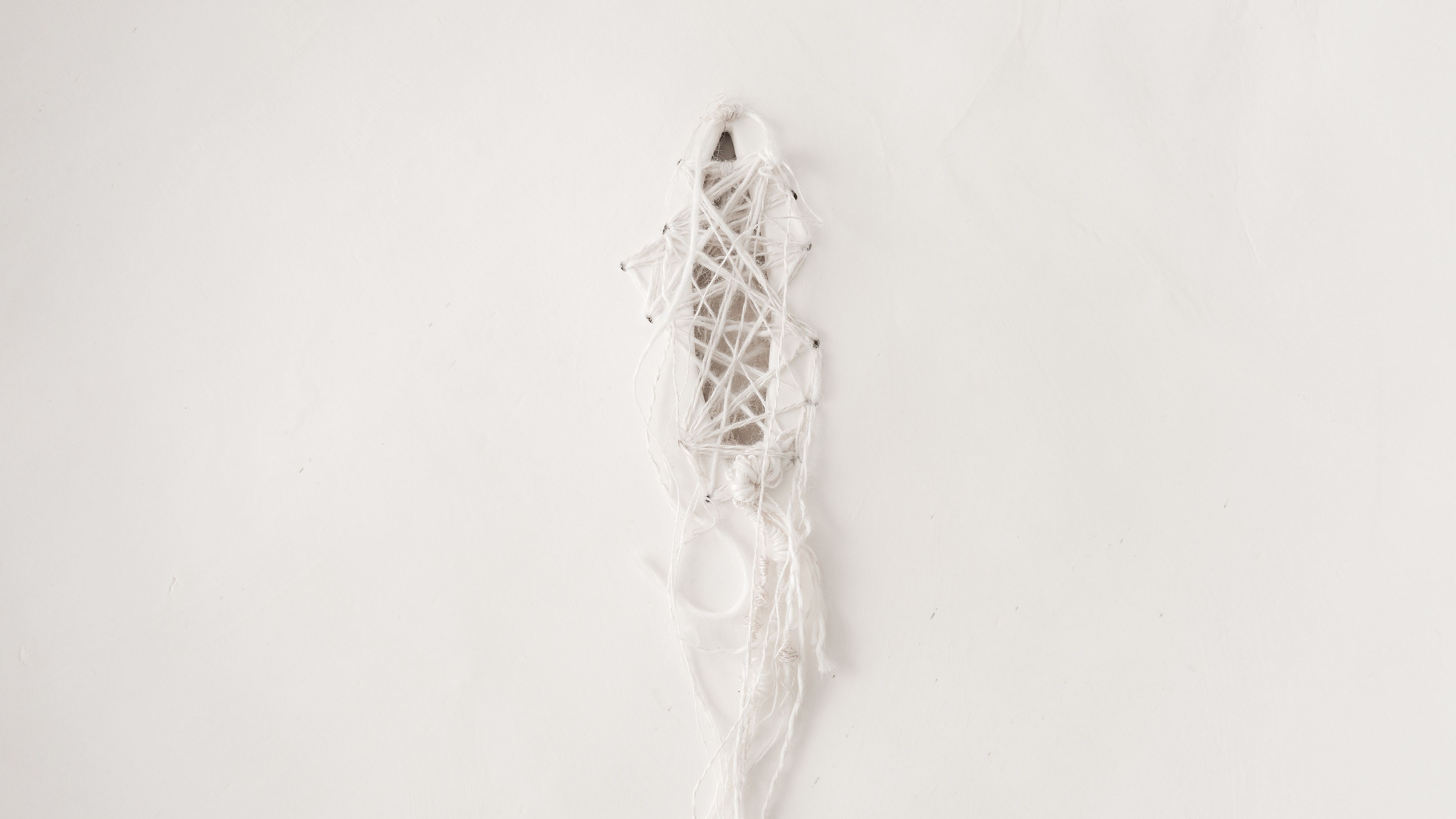 Iris Nesher Ateliers Courbet Porcelain Ceramic Wall Plate