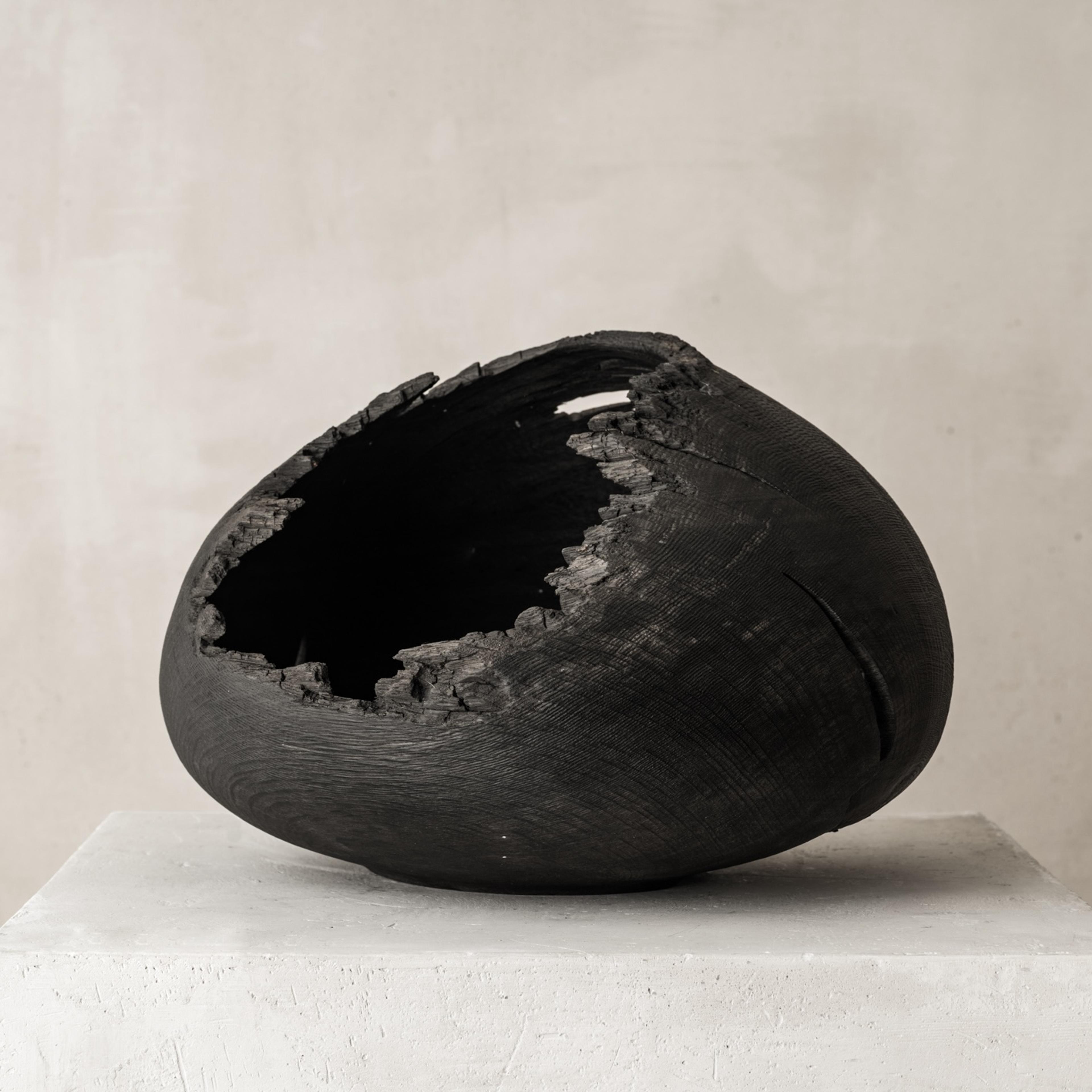Teukho Fossilized Oak Vessel at Ateliers Courbet
