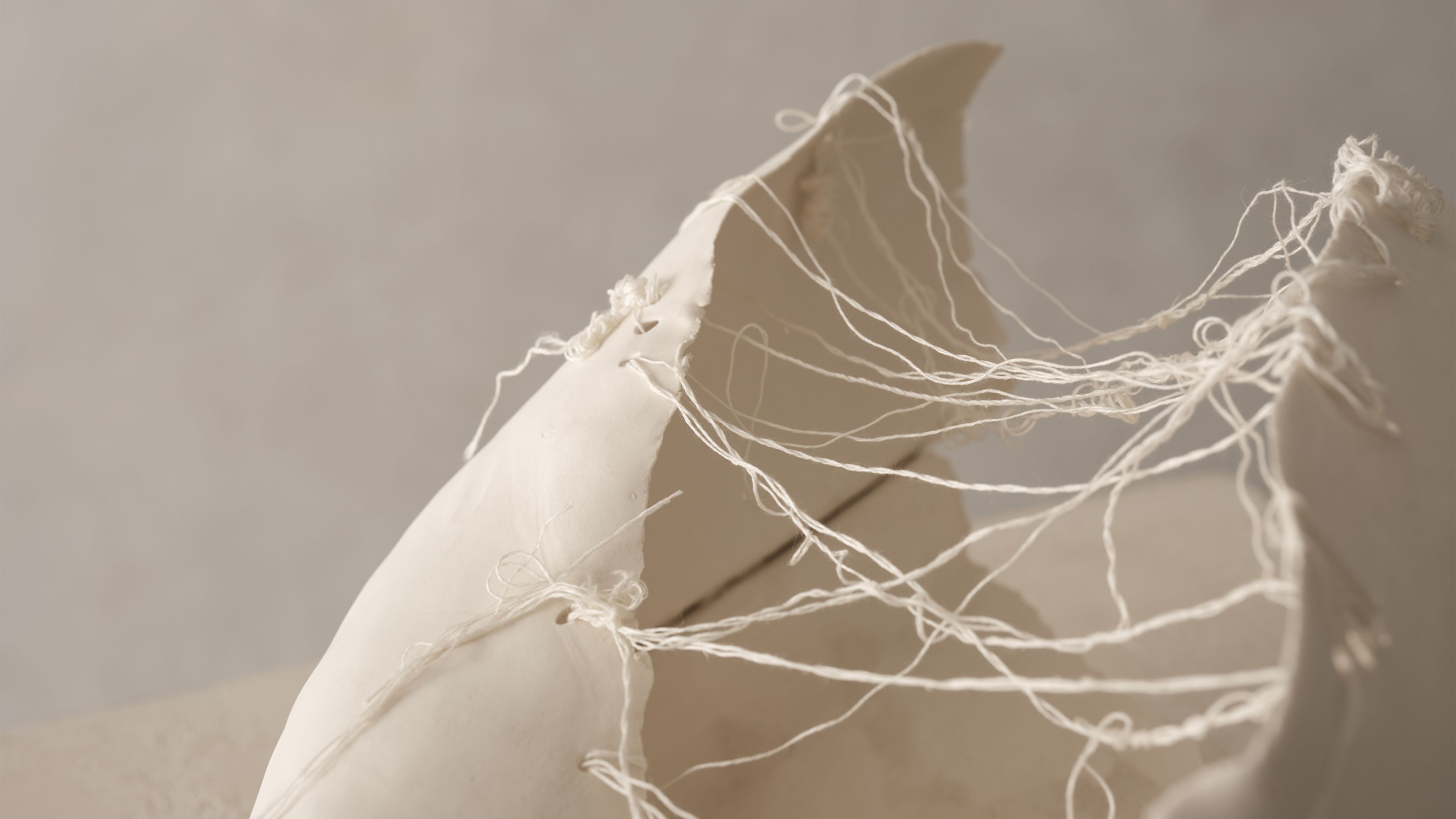 Iris Nesher Ateliers Courbet Porcelain Ceramic Artist