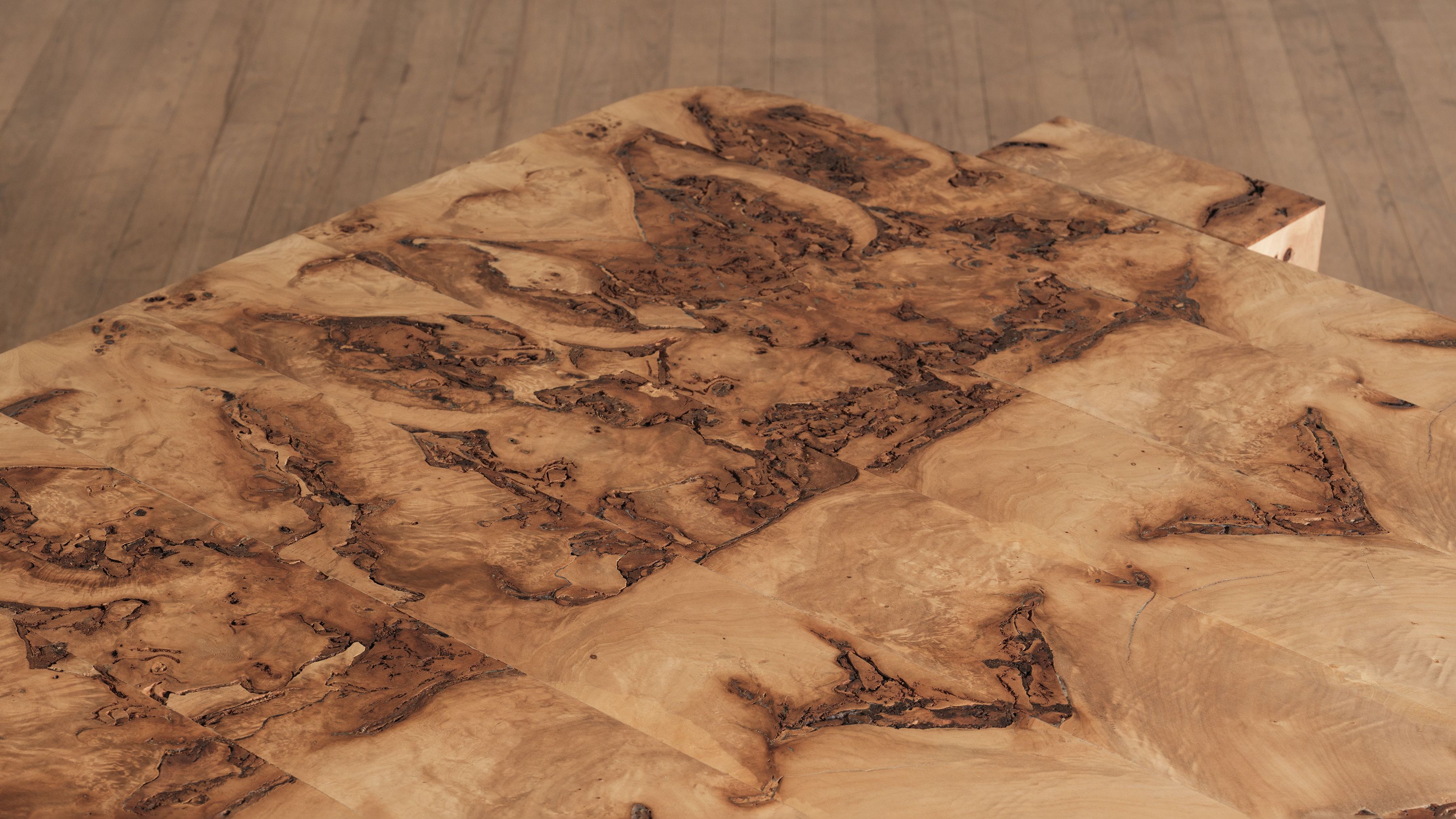 Hamza Kadiri Ateliers Courbet Poplar Burl Coffee Table