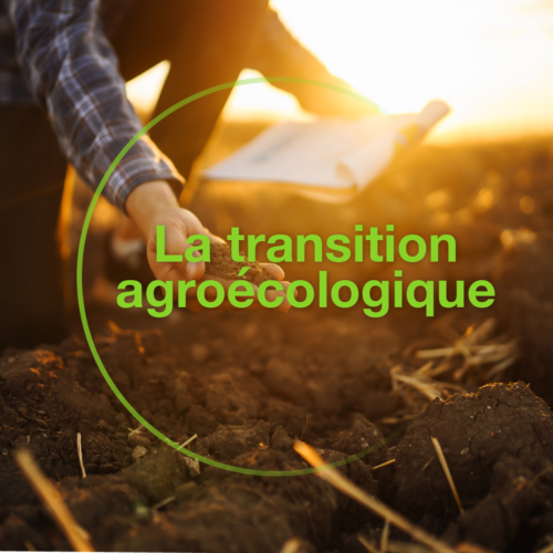 Bayer TransitionAgroéco