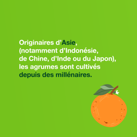 BAYER_CE_DÉCEMBRE4