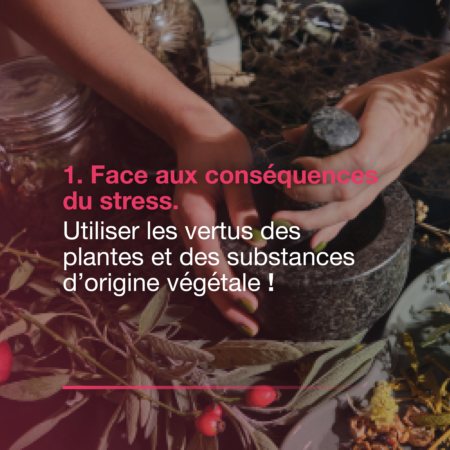 Bayer Bien Être