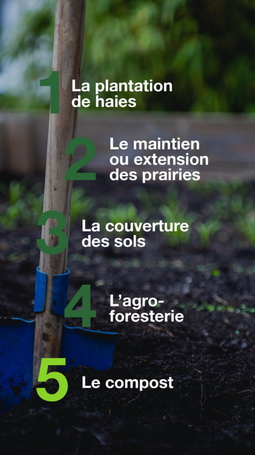 Bayer story sur les sols