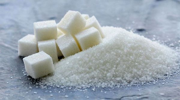 Part 3 - Sugar: The Gut Microbiota