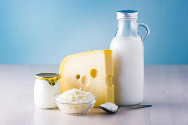 Part 2 - Lactose: The Gut Microbiota