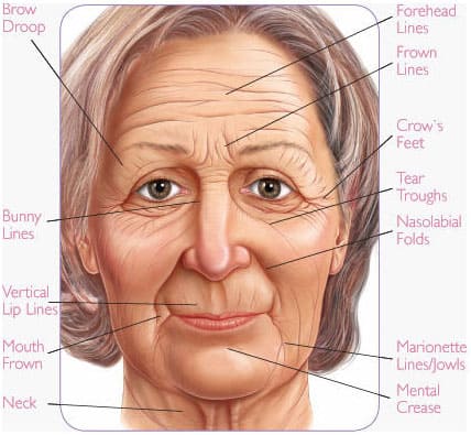 What Your Wrinkles Say About You | Glowday