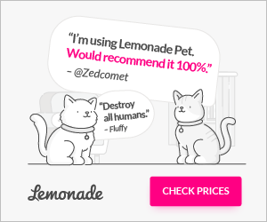 Lemonade — view offer