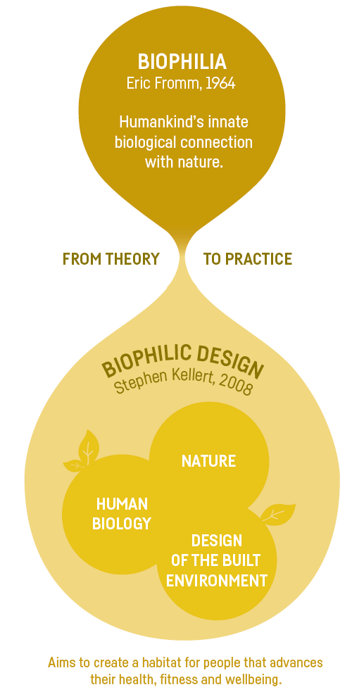 From Biophilia To Biophilic Design