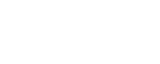 Kite