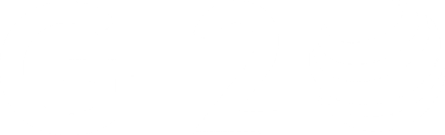 G20